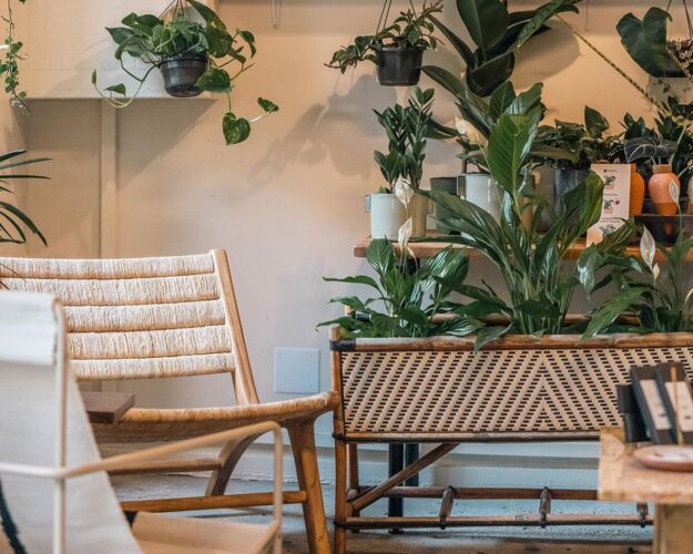 Un café sympa plein de plantes d'intérieur, un endroit idéal pour un brunch à Nice, en France.